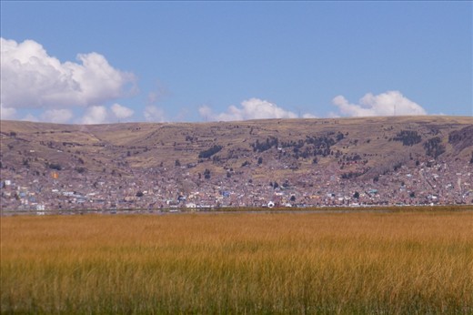 Field of reed with Puno in the back ground.