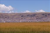 Field of reed with Puno in the back ground.: by margitpirsch, Views[238]