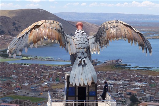 Condor watching over Puno