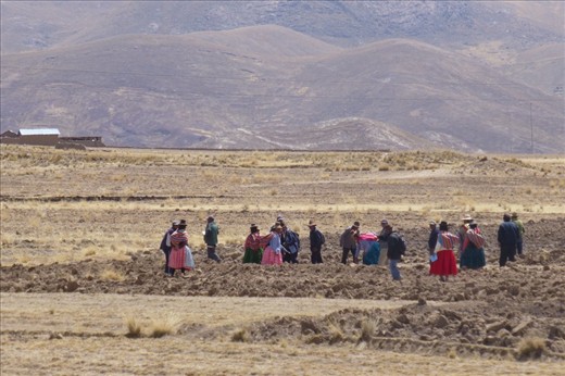 Classic Alto Plano picture.