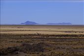 at the edge of the Salar: by margitpirsch, Views[614]