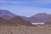 more Salar...: by margitpirsch, Views[593]