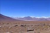 Laguna Verde...just from the distance. We stayed on the paved road towards Argentina.: by margitpirsch, Views[241]