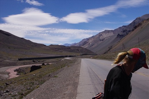 the mother goose look against the wind.