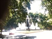 Amazing plazas and parks in Mendoza.: by margitpirsch, Views[241]