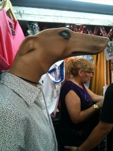 even shopping in fun!