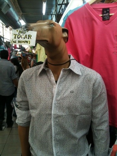 Anybody want's to look like a dog, wearing those clothes, don't you?