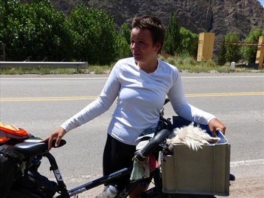 found a couple riding with a pooch...