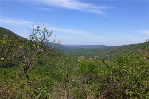 makes me feel right at home...