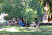 Summer in Mendoza - Plaza Independencia.: by margitpirsch, Views[328]