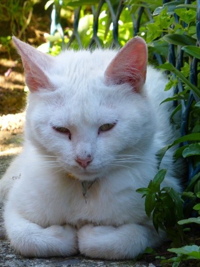 It's only warm in the sun - the rest is windy and cold.