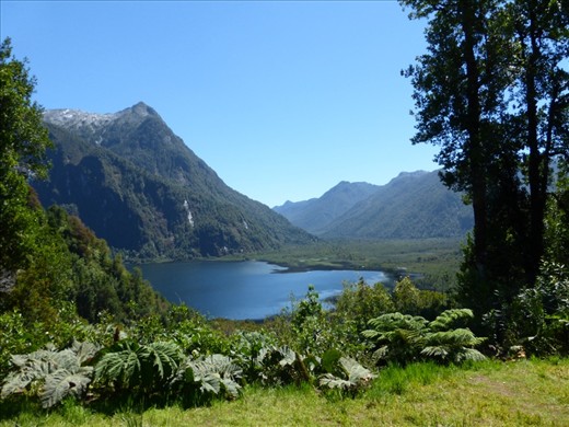 this almost looks unreal, doesn't it?