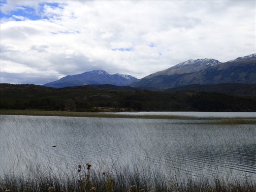 those grasses on the lake looked like elephant hairs on elephant skin.