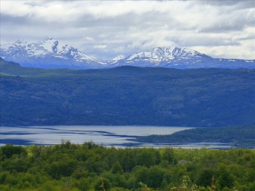 Beauty around us never failed to impress us!