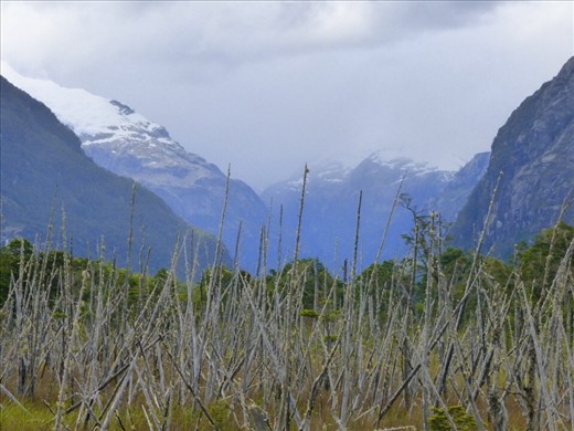 Tortel is somewhere there - between those mountains.
