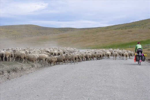 seems like we are high up in altitude...but actually it's just pampa with close by farms....love the speed bumps!