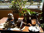 hot chocolate - best one I've had and the view of Fitz Roy (sorry not visible here)...while grieving over my disabled iPad.: by margitpirsch, Views[200]