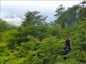 Bushwhacking our way to Lago Desierto.: by margitpirsch, Views[633]