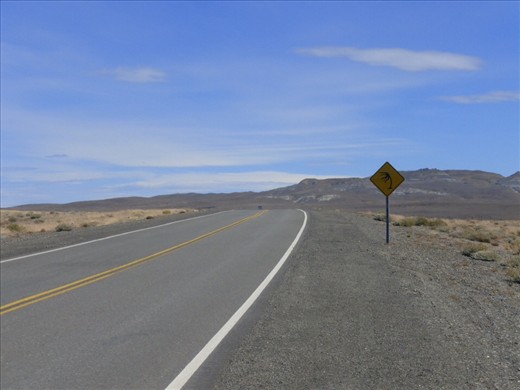 no trees anywhere - and that wind never happened on our stretch to the east cost.