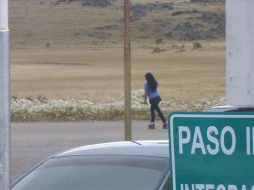 a fox and a rollerblading woman going in circles at the border to Chile.
