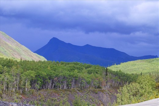 ....destinct colors...