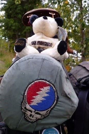 A polar bear from San Francisco?