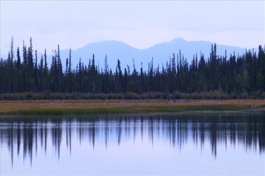 peaceful evening at the campsite.