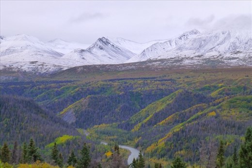 Fall colors in the winter in August.