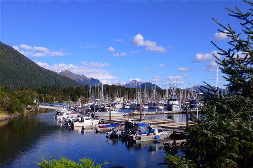 Sitka harbour.