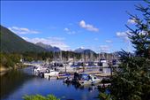 Sitka harbour.: by margitpirsch, Views[171]
