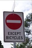 cyclists are highly respected in Vancouver city.: by margitpirsch, Views[502]