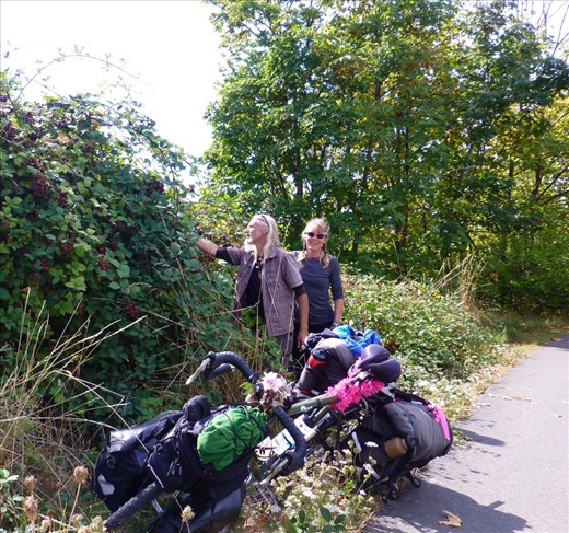 right before Victoria on Vancouver island: It's a berry picking ride!
