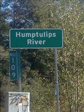 by margitpirsch, Views[506]