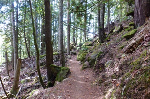 Here we are on the Olympic Adventur Trail