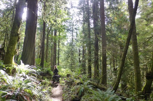 Enchanting 20 miles of beauty on the Olympic Adventure Trail
