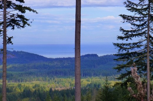 View of Vancouver island - thanks to the logging we can see it...
