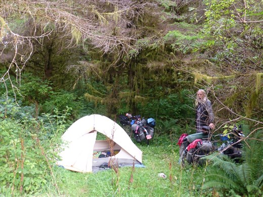 one of our cozy campgrounds tucked away in the woods.