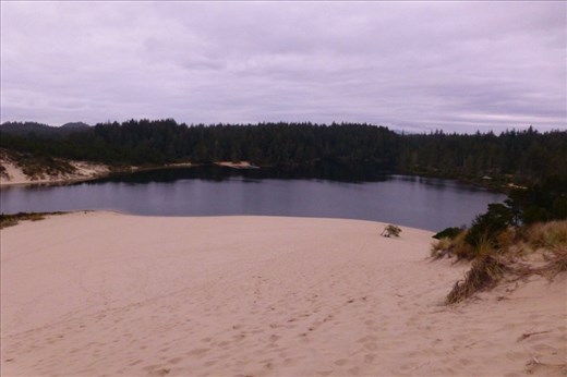 Oregon Dunes