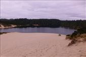 Oregon Dunes: by margitpirsch, Views[157]