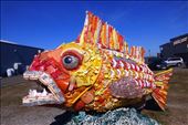 Henry the fish, build of plastic items found on the beach.: by margitpirsch, Views[158]