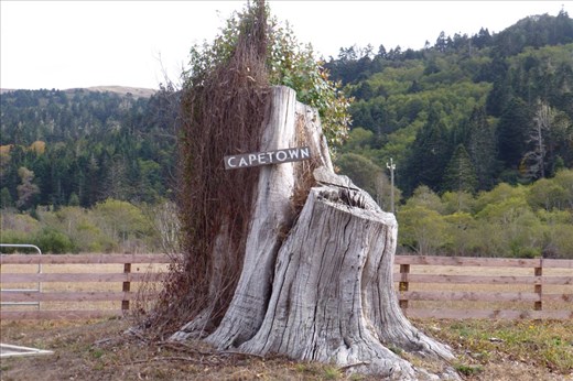 bried touchdown here, before climbing another 900 feet or so