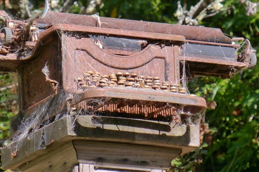 findings in Petrolia