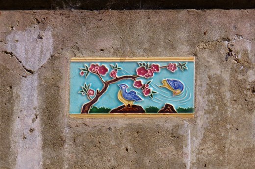 findings in Petrolia