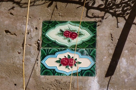 findings in Petrolia