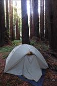 First camp in the Redwoods down at the coast near Rockport on Highway 1: by margitpirsch, Views[279]