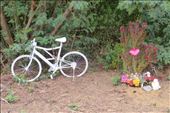 sad signs. A with bike means that a cyclist died here.: by margitpirsch, Views[428]