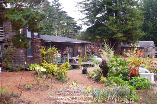 Lichen's house and garden.