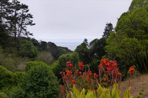 Lichen's view from his house. Just a mile north from Elk.