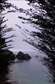 sneak view...: by margitpirsch, Views[236]