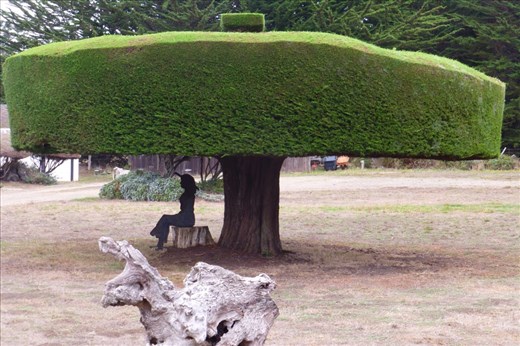 This is how I visualize little Miss Muffet. 